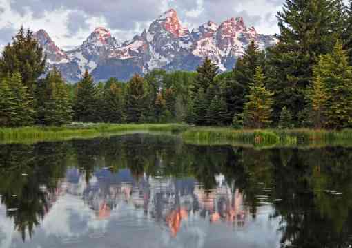 Schwabercher's Landing Grand Teton National Park with tetons and trees reflecting in water