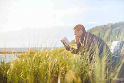 Man reading on a bench in a meadow