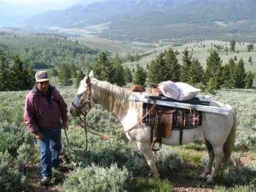 A herder and his horse make a trip to put up fladry to protect sheep in Wood River Idaho