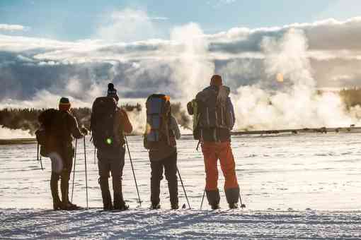 Skiers watch bison from the road, Lower Geyser Basin Yellowstone NP