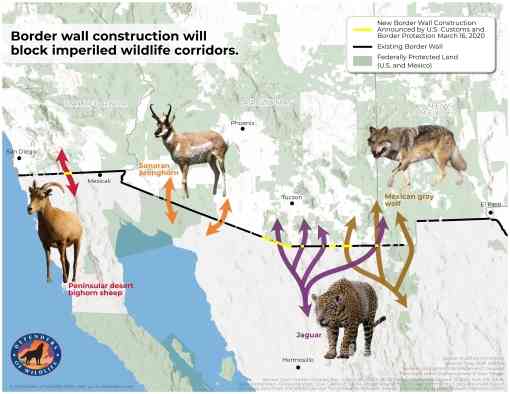 Border wall wildlife corridors