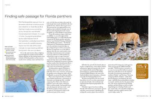 Florida Panther Walking in Dark - Spring 2020 Magazine