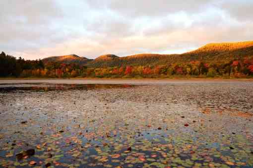 The setting sun highlights the fall foliage at Lefferts Pond on the Green Mountain National Forest