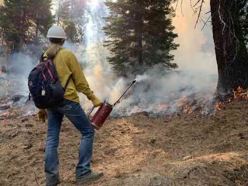 Southern Sierra Prescribed Fire Council - Flick Facing Away from Camera with Flame Tank and Smokey Forest - California - Northwest