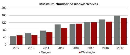 Graph of minimum number of gray wolves in Oregon and Washington 2012-2019