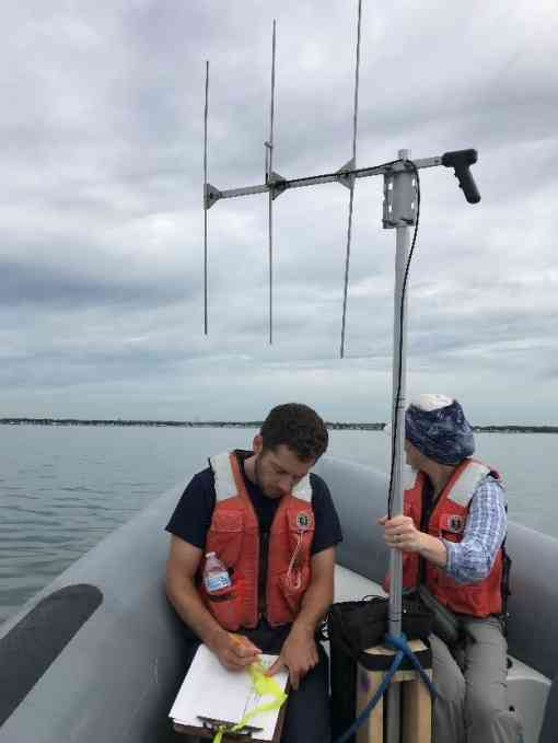 Scientists tracking endangered roseate terns using a radio telemetry antenna 