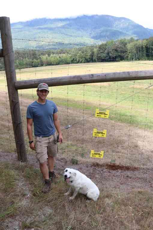 Griffin and spot by the new sauk farm electric fence