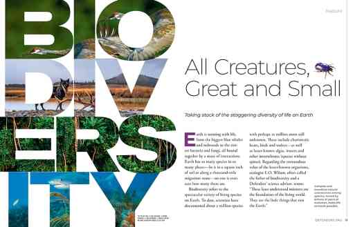 Fall 2002 Feature Opener - Biodiversity