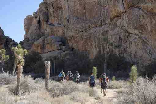 Hikers and Climbers in Joshua Tree National Park 