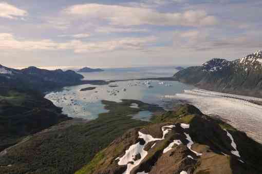Bear Glacier Kenai Fjords National Park