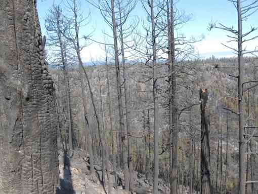 The County Line 2 Fire north of Warm Springs, OR began on Aug. 12, 2015 and has consumed an estimated 62,247 acres