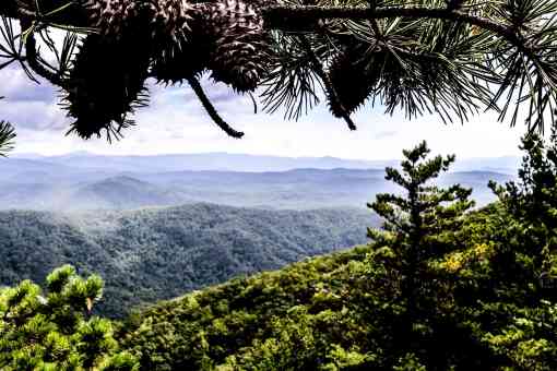 View of Pisgah National Forest through the trees