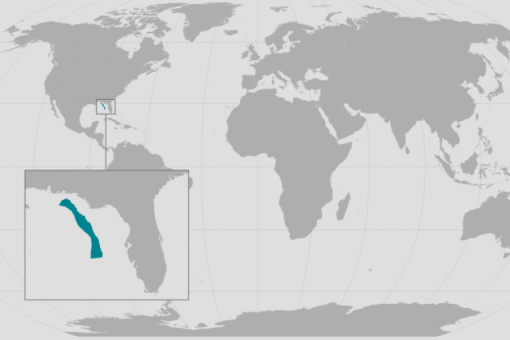 Map of range of gulf of mexico whale