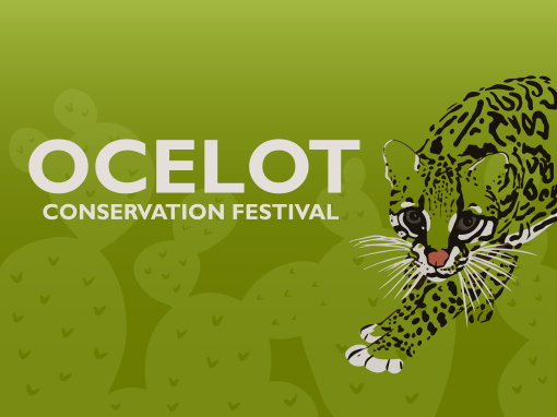 Ocelot Conservation festival banner