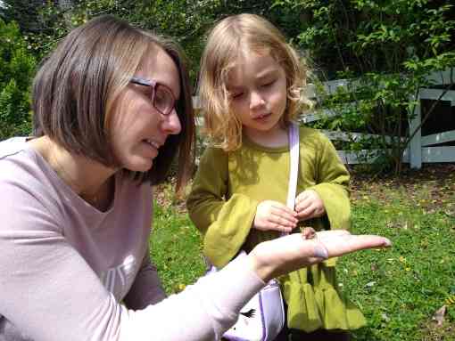 Lindsay and daughter looking at cicadas 