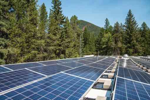 Trees surround the roof of Glacier's headquarters building covered by an array of photovoltaic solar panels. 