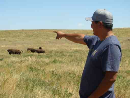 Bronc Speak Thunder with the People’s Creek herd on the Fort Belknap Indian Reservation, MT