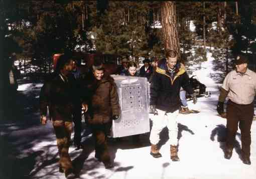 1998 - Jamie Rappaport Clark and Bob Babbitt - Mexican Gray Wolf Release - Arizona
