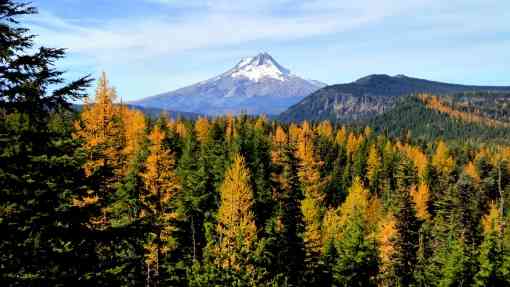Mount Hood - Badger Creek Wilderness - Oregon
