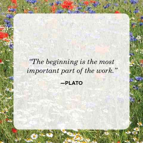 Plato Poem