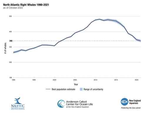 2022 North Atlantic Right Whale Population