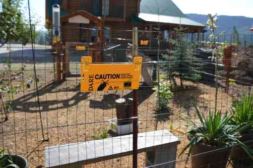 Bear e-fence in Stevens County Washington