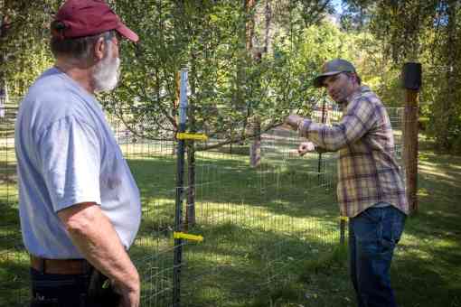 500th Electric Fence Project - Electric Fence Incentive Program - Montana