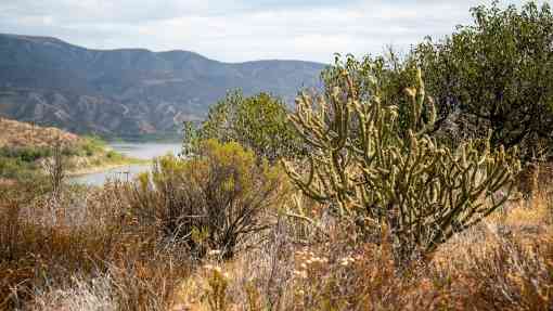 Vegetation Landscape with Lake in Background - Western Riverside - California
