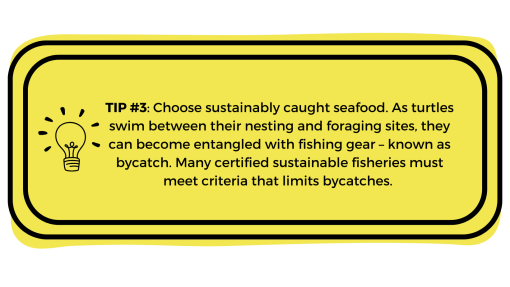 Yellow box with "Tip #3: Choose sustainably caught seafood. As turtles swim between their nesting and foraging sites, they can become entangled with fishing gear – known as bycatch. Many certified sustainable fisheries must meet criteria that limits bycatches." written in it.