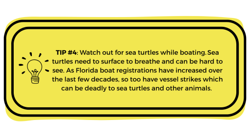 Yellow box with "Tip #4: Choose sustainably caught seafood. As turtles swim between their nesting and foraging sites, they can become entangled with fishing gear – known as bycatch. Many certified sustainable fisheries must meet criteria that limits bycatches." written in it.