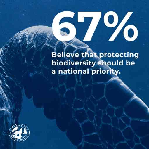 67% believe that protecting biodiveristy should be a national priority