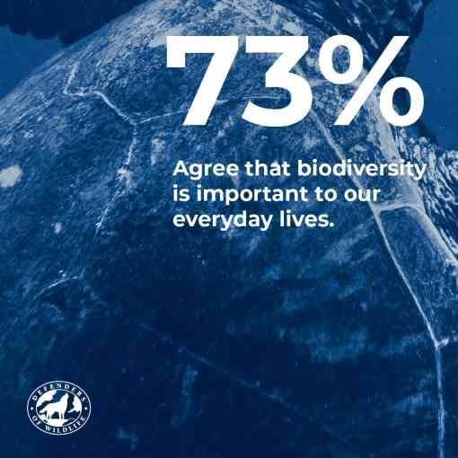 73% agree that biodiversity is important to our everyday lives.