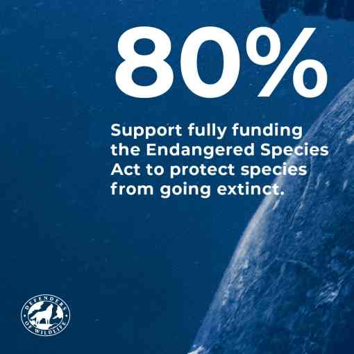 80% support fully funding the Endangered Species Act to protect species from going extinct