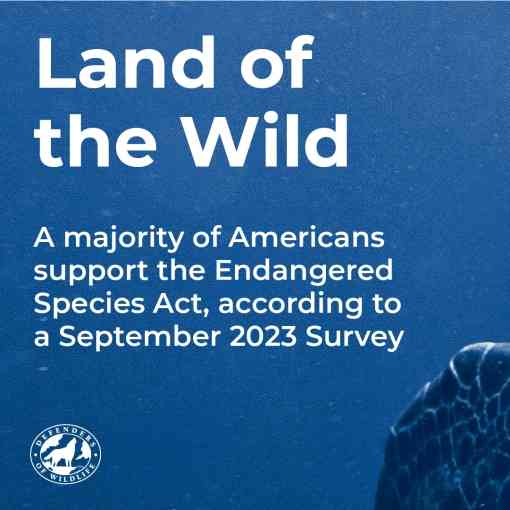 Land of the Wild - A majority of Americans support the Endangered Species Act