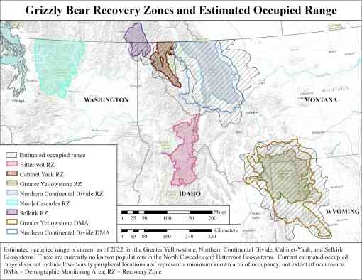 A map of the Northern Rockies (Montana, Idaho and a corner of Wyoming) and Washington state. Overlaid on the map is areas where grizzlies occupy.