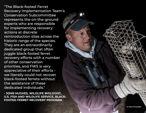 Photo of John Hughes (USFWS) holding a trapped black-footed ferret overlaid with a quote from him. 