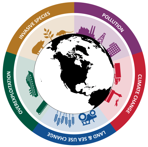 A circular graphic with a black and white Earth in the center. There is an outer circle broken into 5 areas: Invasive species, Pollution, Climate Change, Land & Sea Change and Overpopulation.
