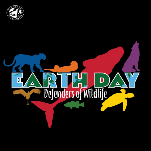 Earth Day Logo 2024