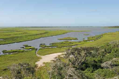 Costal marshes at Aransas used by whooping cranes