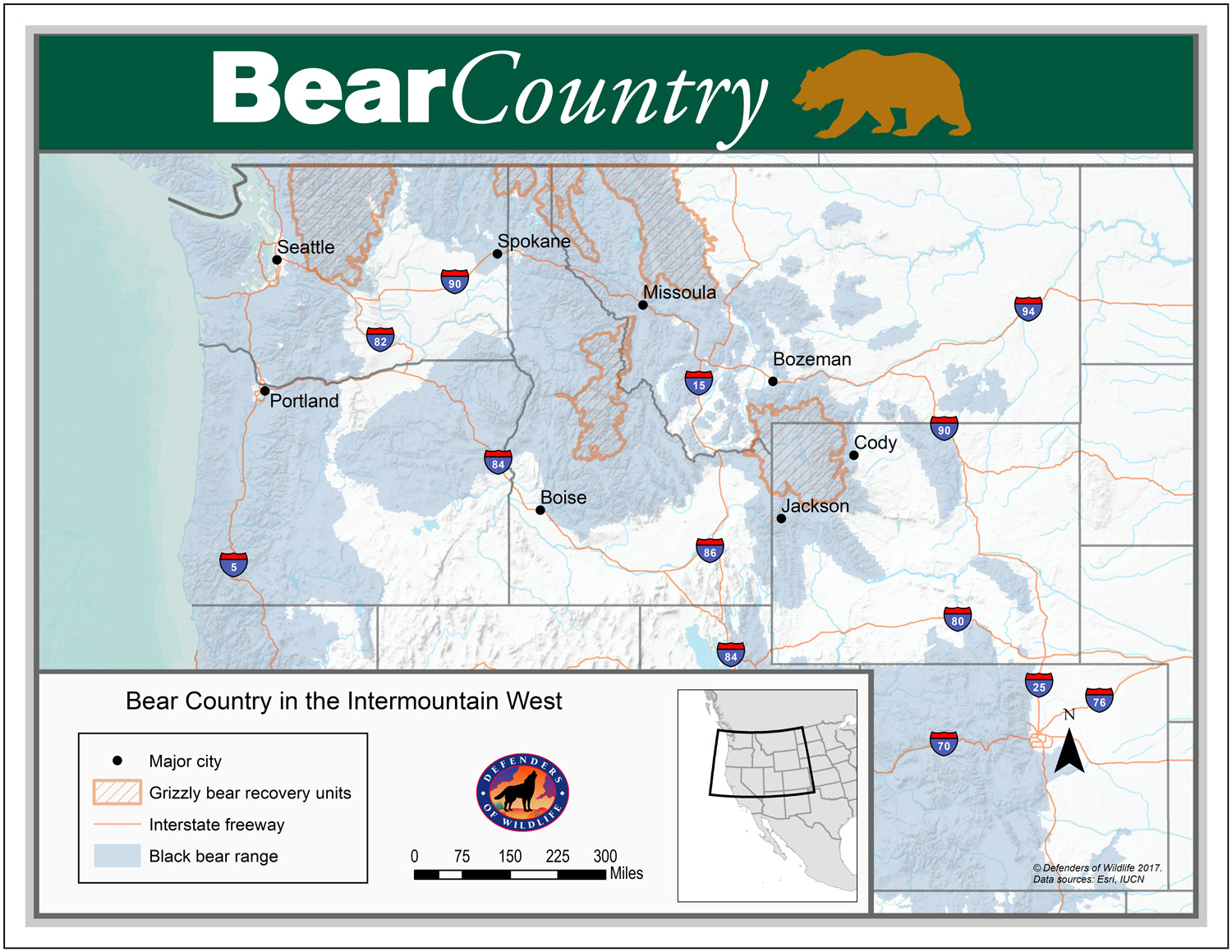 Living in Bear Country | Defenders of Wildlife