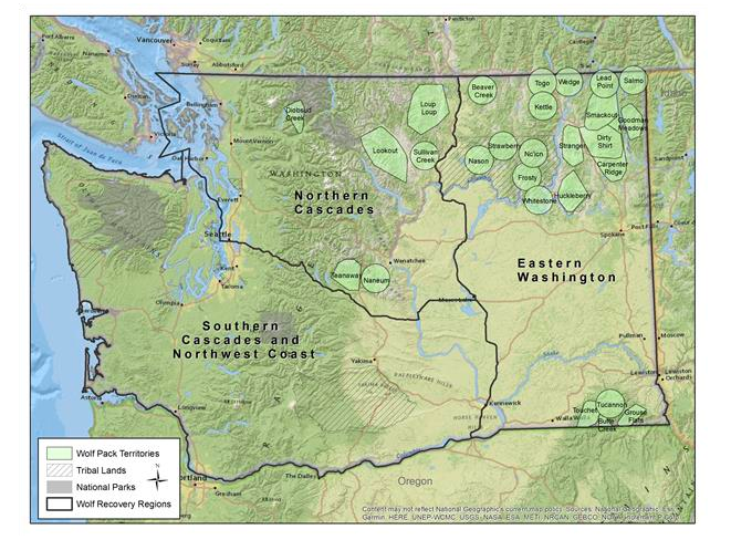 A Tale of Two States: A Closer Look at Wolf Conservation and Management ...