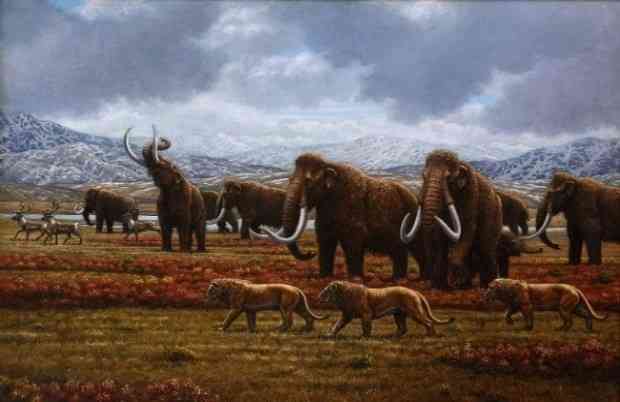 American lion and wooly mammoths.