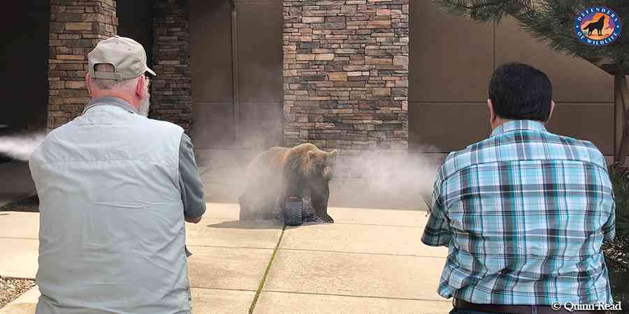 Bear spray training
