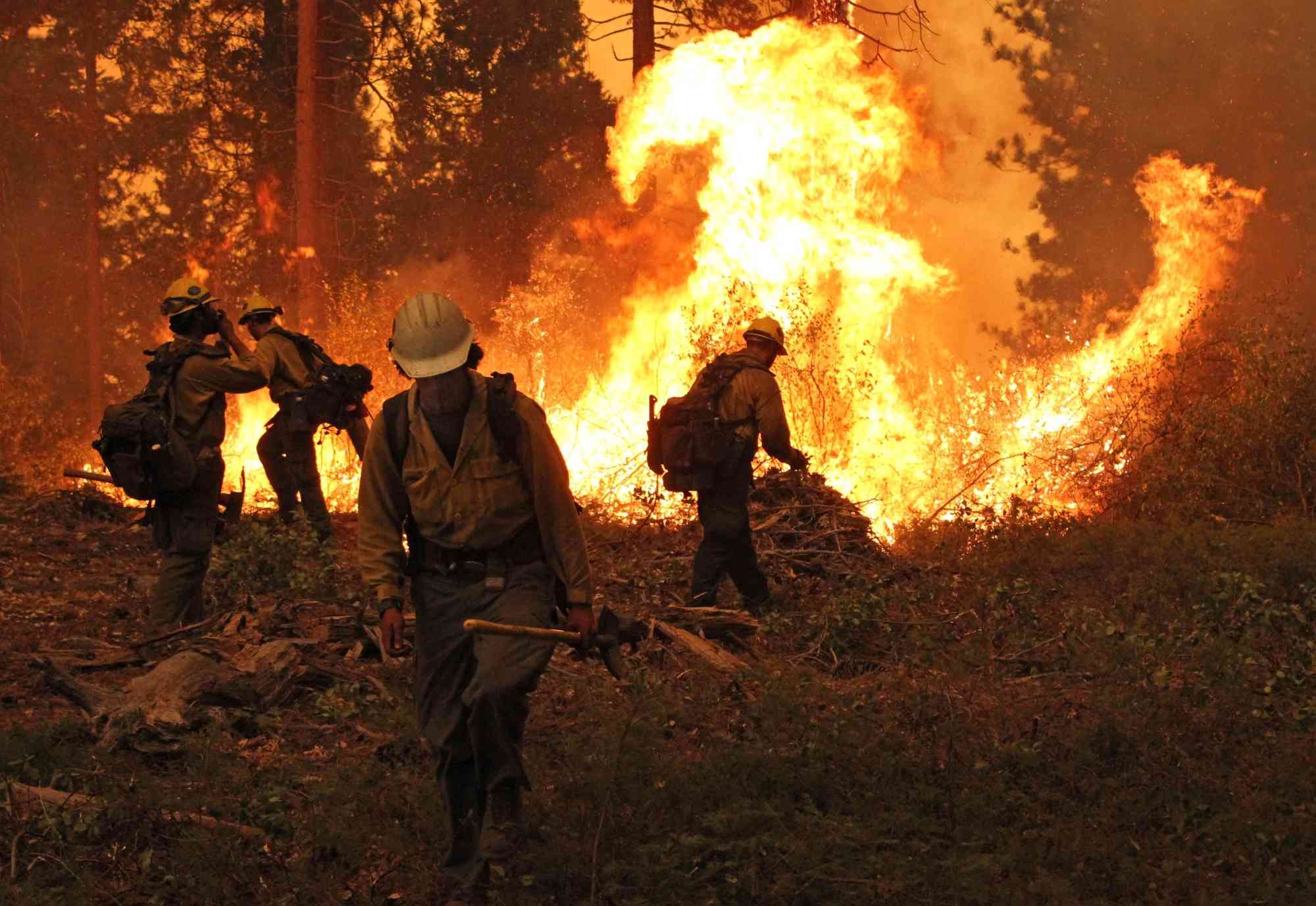Rim Fire on the Stanislaus National Forest in California 2013