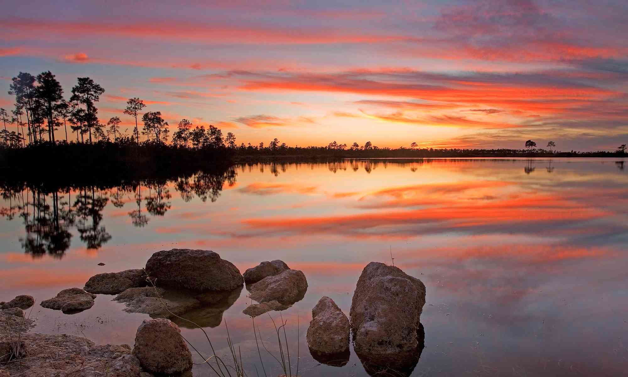 Everglades Pine Glades Lake