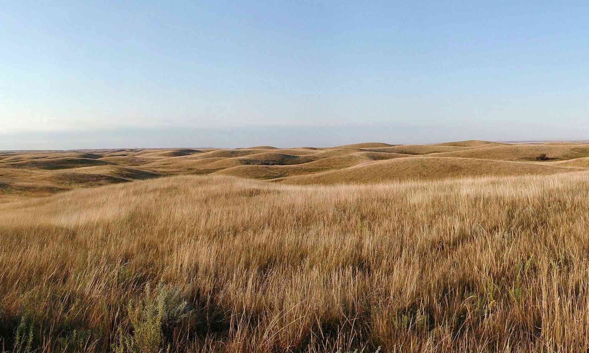 North Dakota Prairie 