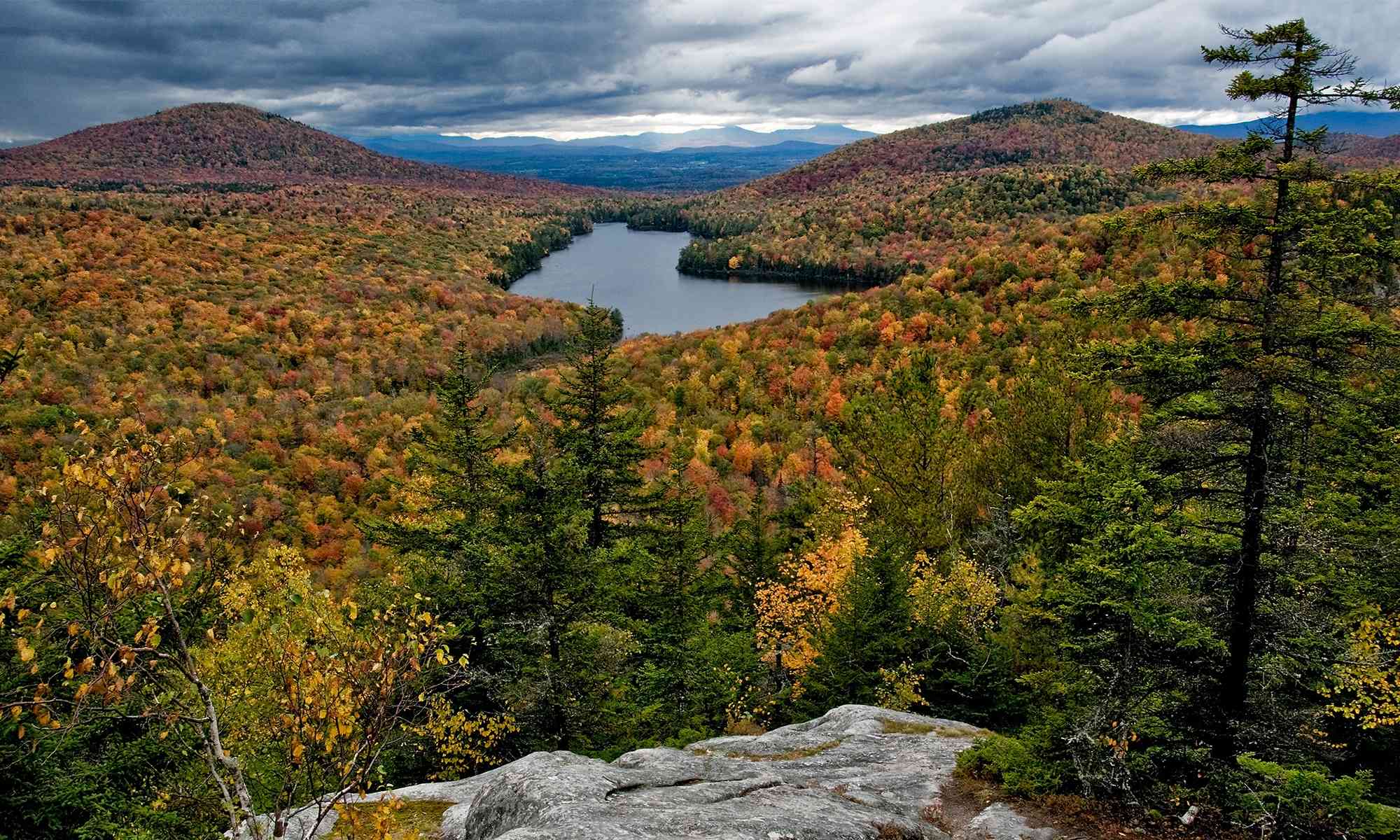 Vermont Forest in Autumn