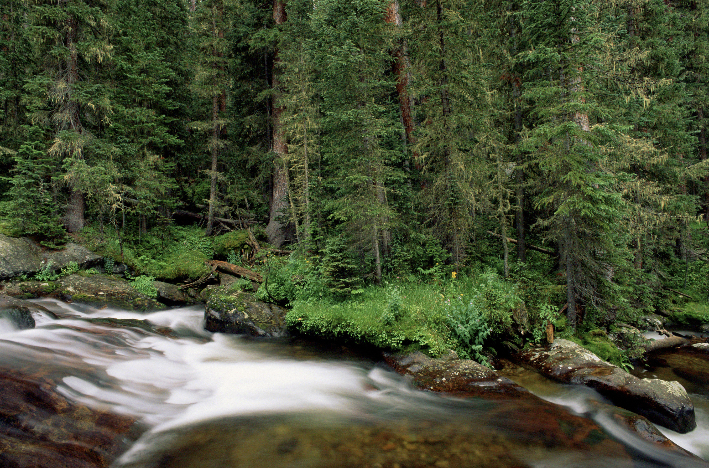 Onahu Creek Trail - Rocky Mountain National Park