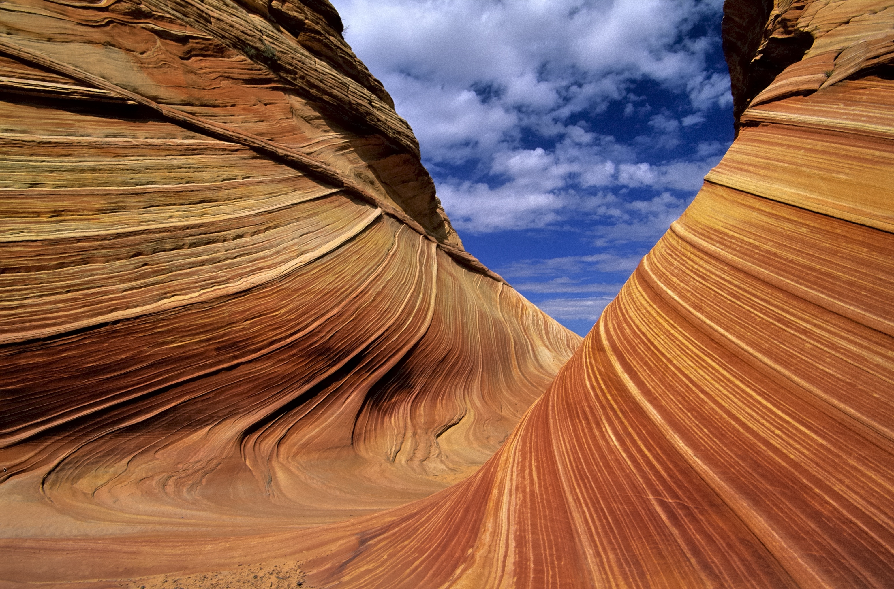 Rock Waves Vermillion Cliffs NM