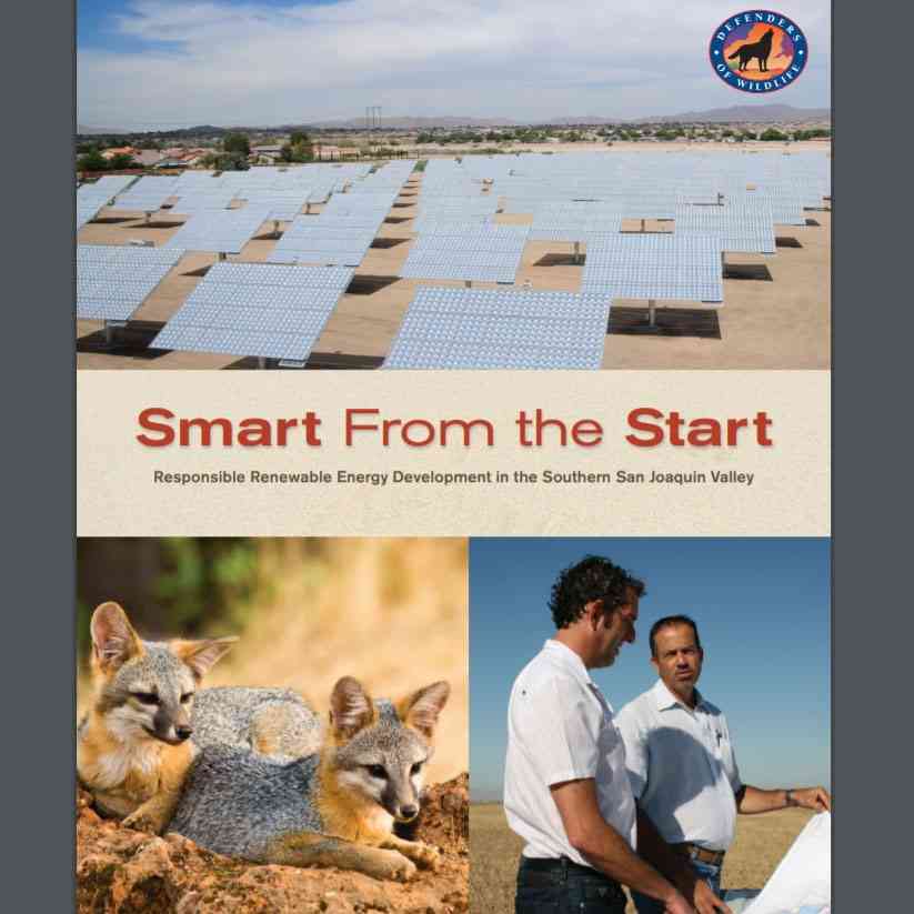 Smart from the Start Cover